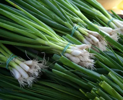 Green onion leaves