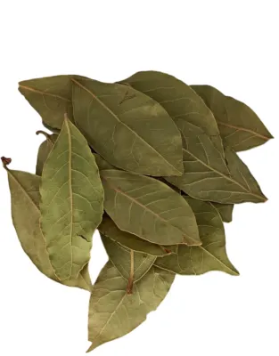Bay Leaf
