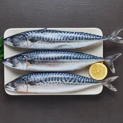 Mackerel