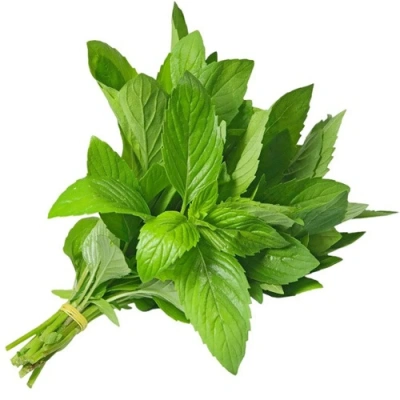 Fresh mint