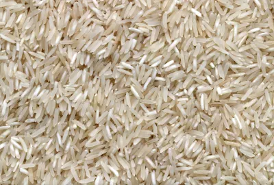 Rice