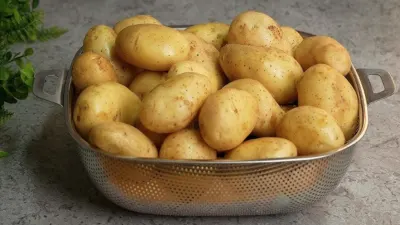 Potato