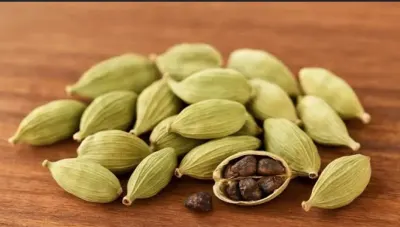 Cardamom