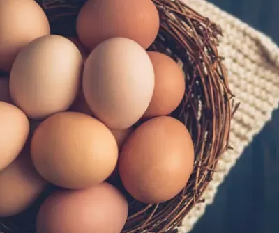 Eggs