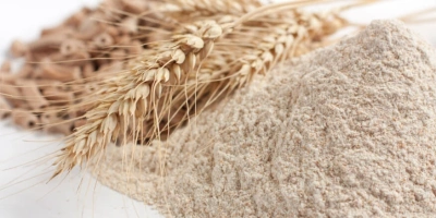 Whole wheat flour