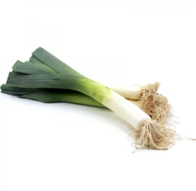 Leek