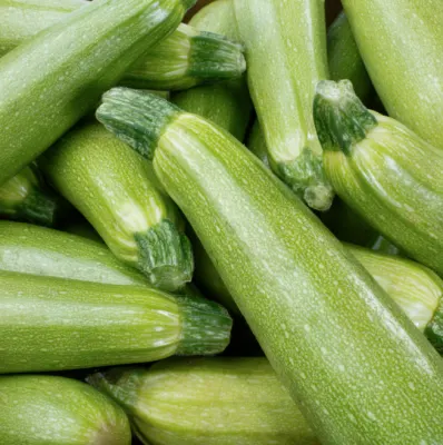 Zucchini