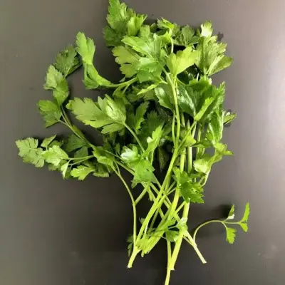 Parsley
