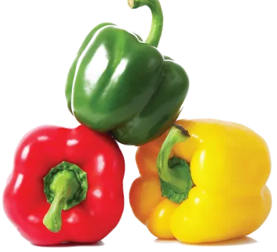 Bell Pepper