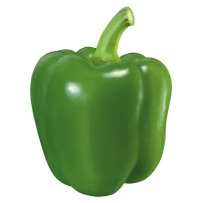 Pepper