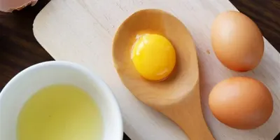 Egg Yolk
