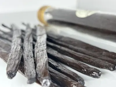 Vanilla