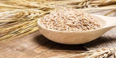 Wheat bran