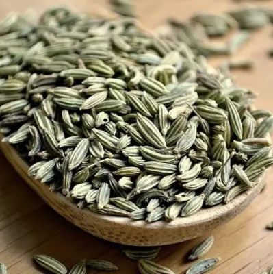 Fennel